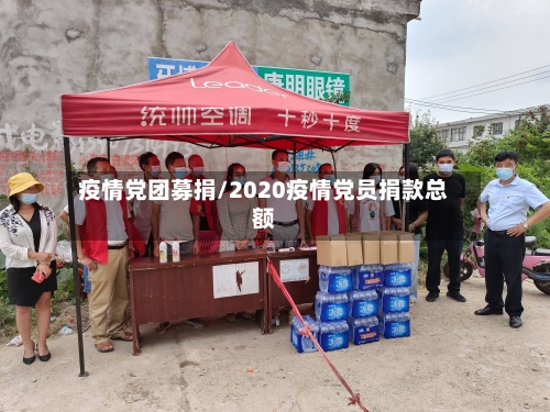 疫情党团募捐/2020疫情党员捐款总额-第2张图片