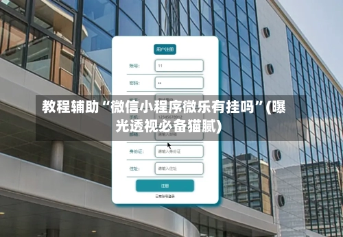 教程辅助“微信小程序微乐有挂吗”(曝光透视必备猫腻)-第2张图片