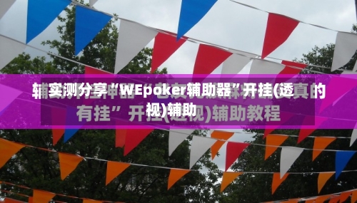 实测分享“WEpoker辅助器”开挂(透视)辅助-第1张图片