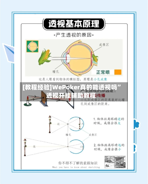[教程经验]WePoker真的能透视吗”透视开挂辅助教程-第3张图片