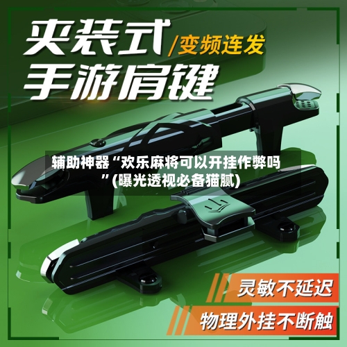 辅助神器“欢乐麻将可以开挂作弊吗	”(曝光透视必备猫腻)-第1张图片