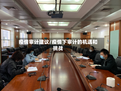 疫情审计建议/疫情下审计的机遇和挑战-第2张图片