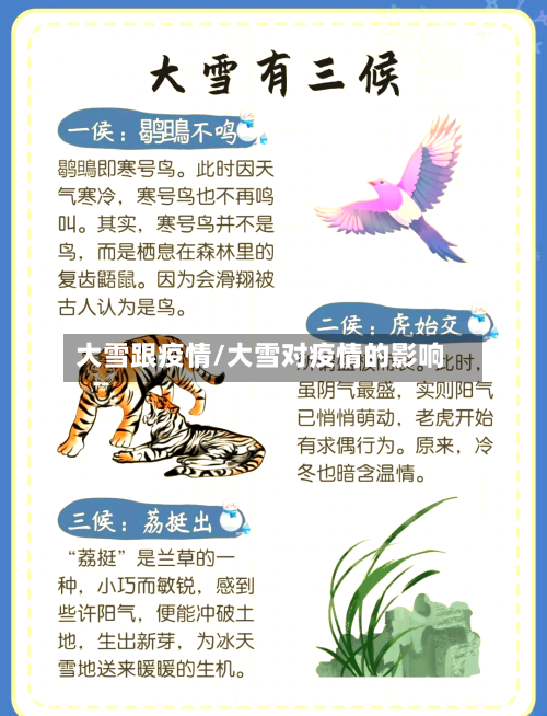 大雪跟疫情/大雪对疫情的影响-第3张图片