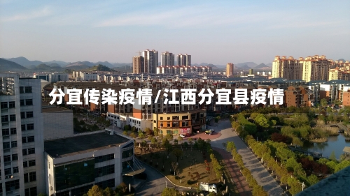 分宜传染疫情/江西分宜县疫情-第2张图片