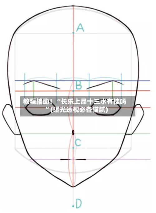 教程辅助！“长乐上品十三水有挂吗”(曝光透视必备猫腻)-第3张图片