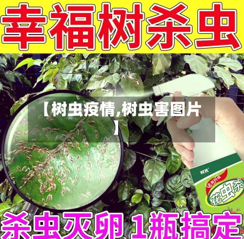 【树虫疫情,树虫害图片】-第3张图片