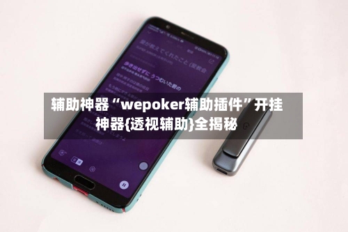 辅助神器“wepoker辅助插件”开挂神器{透视辅助}全揭秘-第2张图片