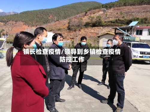 镇长检查疫情/领导到乡镇检查疫情防控工作-第2张图片
