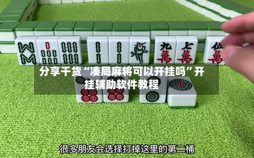 分享干货“凑局麻将可以开挂吗”开挂辅助软件教程-第2张图片