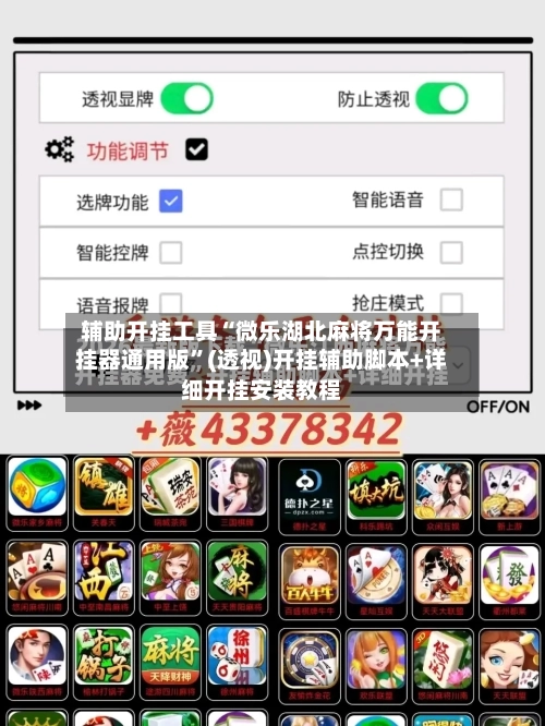 辅助开挂工具“微乐湖北麻将万能开挂器通用版”(透视)开挂辅助脚本+详细开挂安装教程-第2张图片