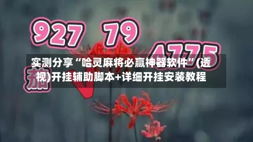 实测分享“哈灵麻将必赢神器软件”(透视)开挂辅助脚本+详细开挂安装教程-第2张图片
