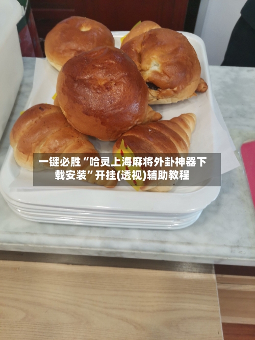 一键必胜“哈灵上海麻将外卦神器下载安装”开挂(透视)辅助教程-第3张图片