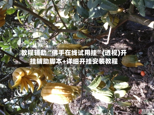 教程辅助“佛手在线试用挂”(透视)开挂辅助脚本+详细开挂安装教程-第2张图片