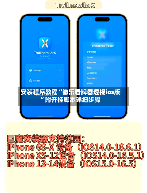 安装程序教程“微乐看牌器透视ios版”附开挂脚本详细步骤-第3张图片