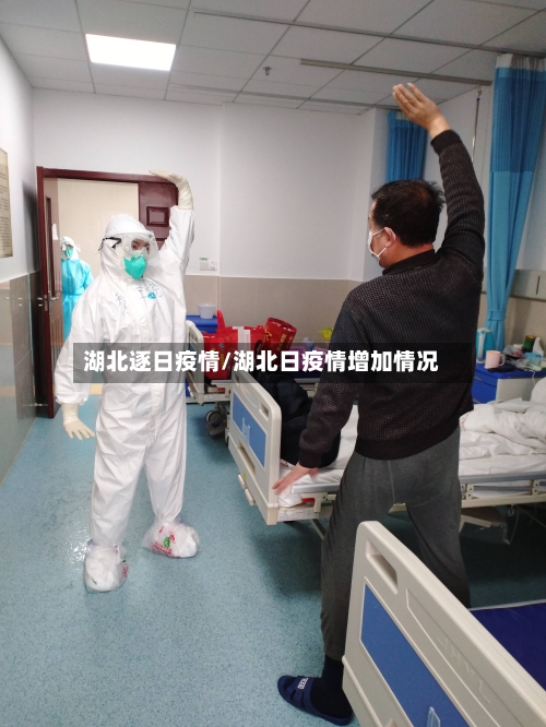 湖北逐日疫情/湖北日疫情增加情况-第2张图片