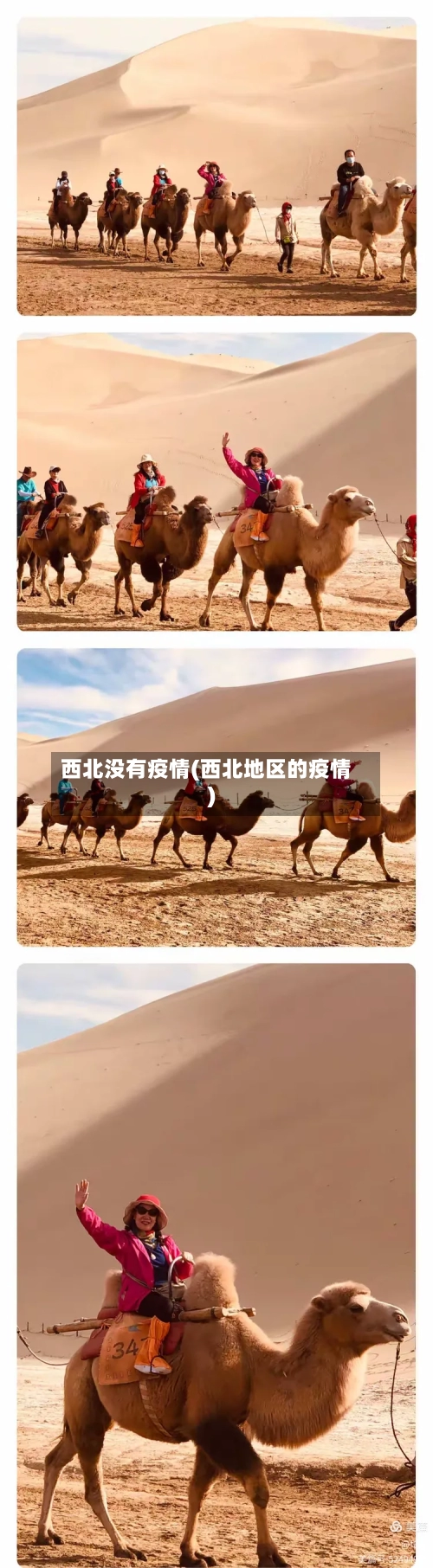 西北没有疫情(西北地区的疫情)-第1张图片