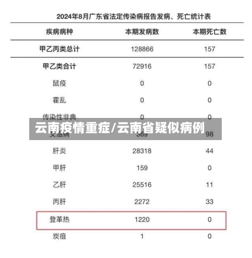 云南疫情重症/云南省疑似病例-第1张图片