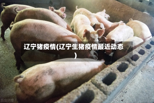 辽宁猪疫情(辽宁生猪疫情最近动态)-第2张图片