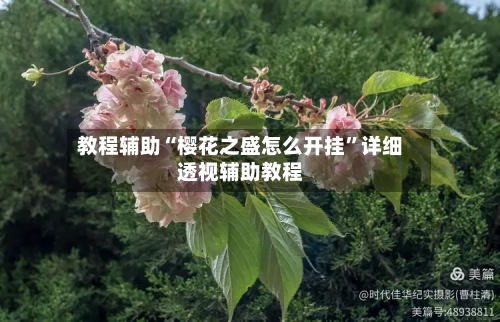 教程辅助“樱花之盛怎么开挂	”详细透视辅助教程-第1张图片