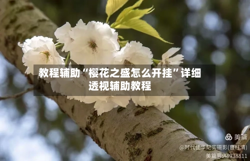 教程辅助“樱花之盛怎么开挂”详细透视辅助教程-第2张图片
