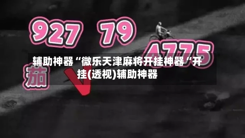 辅助神器“微乐天津麻将开挂神器“开挂(透视)辅助神器-第1张图片