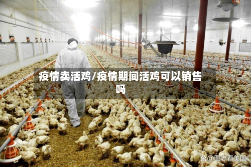 疫情卖活鸡/疫情期间活鸡可以销售吗-第1张图片