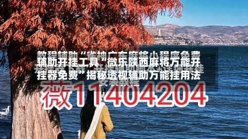 辅助开挂工具“微乐陕西麻将万能开挂器免费	”揭秘透视辅助万能挂用法-第2张图片