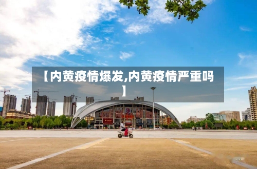 【内黄疫情爆发,内黄疫情严重吗】-第2张图片