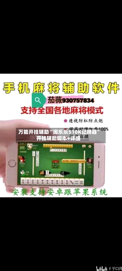 万能开挂辅助“闽乐乐510K记牌器”开挂辅助脚本+详细-第3张图片