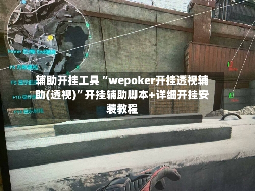 辅助开挂工具“wepoker开挂透视辅助(透视)”开挂辅助脚本+详细开挂安装教程-第3张图片