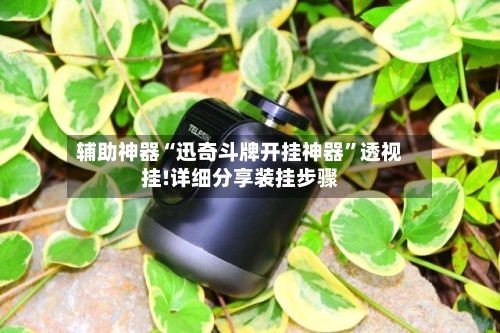 辅助神器“迅奇斗牌开挂神器”透视挂!详细分享装挂步骤-第3张图片
