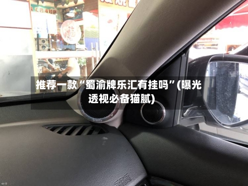 推荐一款“蜀渝牌乐汇有挂吗”(曝光透视必备猫腻)-第2张图片