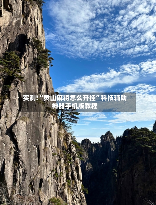 实测!“黄山麻将怎么开挂	”科技辅助神器手机版教程-第2张图片