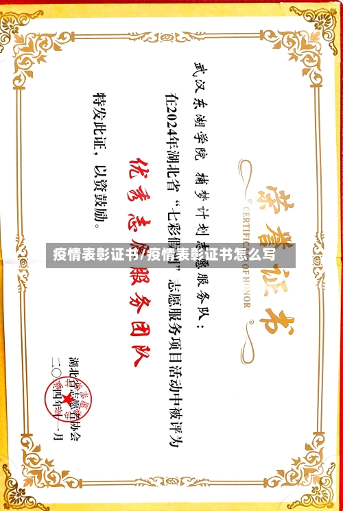 疫情表彰证书/疫情表彰证书怎么写-第2张图片