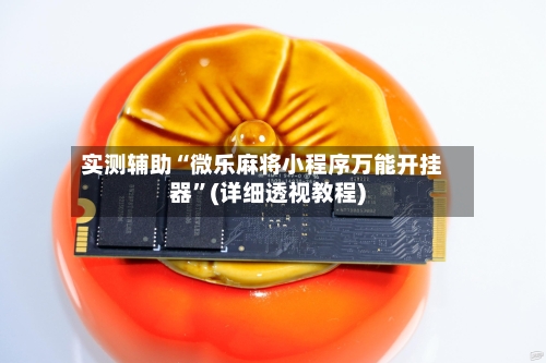实测辅助“微乐麻将小程序万能开挂器”(详细透视教程)-第2张图片