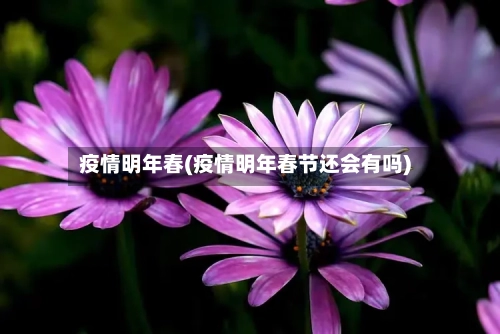 疫情明年春(疫情明年春节还会有吗)-第1张图片