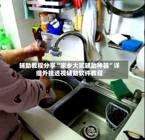 辅助教程分享“家乡大贰辅助神器”详细外挂透视辅助软件教程-第1张图片