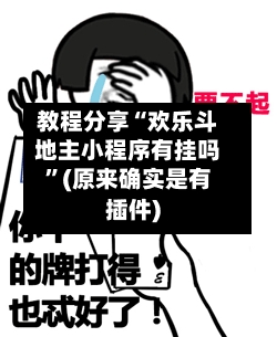 教程分享“欢乐斗地主小程序有挂吗”(原来确实是有插件)-第3张图片