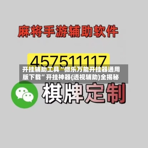 开挂辅助工具“微乐万能开挂器通用版下载”开挂神器{透视辅助}全揭秘-第1张图片