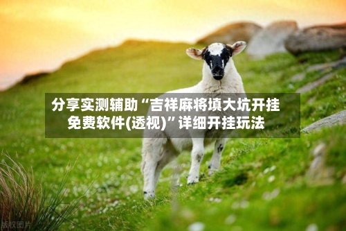 分享实测辅助“吉祥麻将填大坑开挂免费软件(透视)”详细开挂玩法-第3张图片