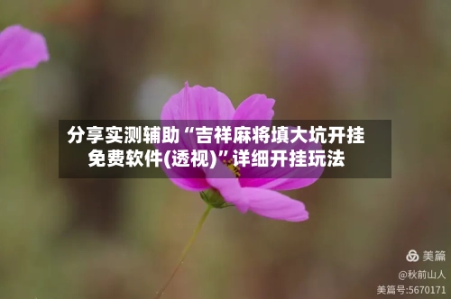 分享实测辅助“吉祥麻将填大坑开挂免费软件(透视)”详细开挂玩法-第2张图片