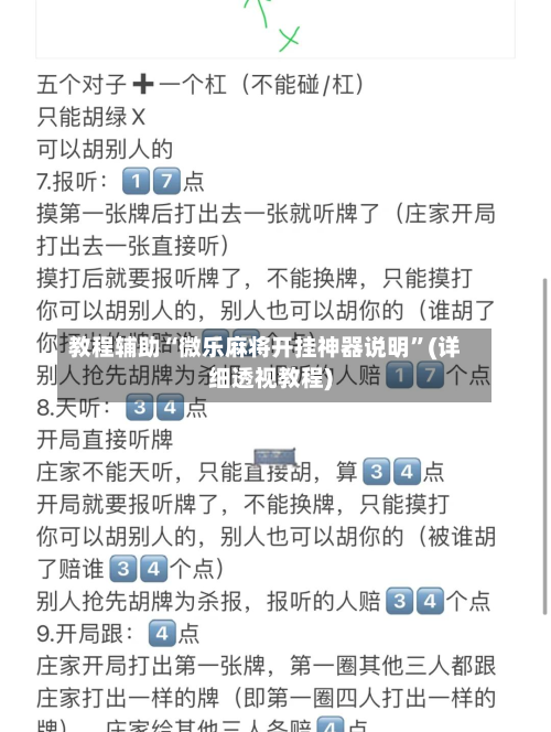 教程辅助“微乐麻将开挂神器说明	”(详细透视教程)-第2张图片