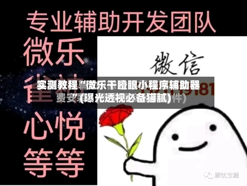 实测教程“微乐干瞪眼小程序辅助器”(曝光透视必备猫腻)-第2张图片