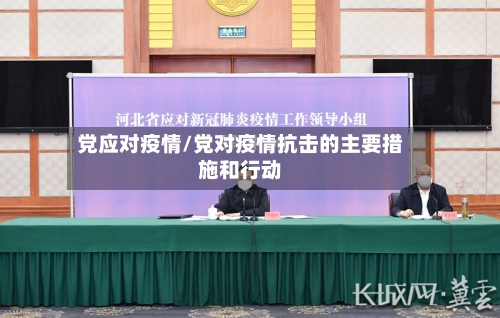 党应对疫情/党对疫情抗击的主要措施和行动-第2张图片