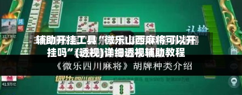 辅助开挂工具“微乐山西麻将可以开挂吗	”(透视)详细透视辅助教程-第2张图片