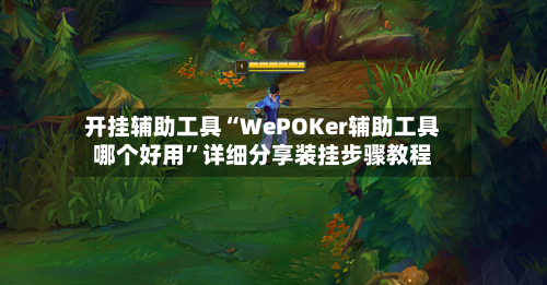 开挂辅助工具“WePOKer辅助工具哪个好用”详细分享装挂步骤教程-第3张图片