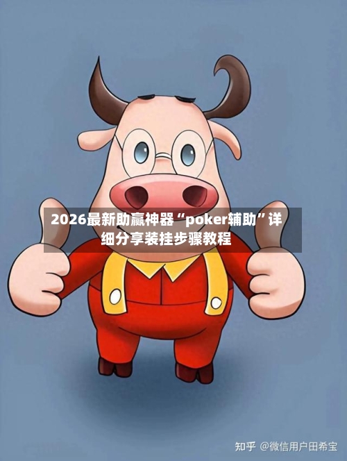 2026最新助赢神器“poker辅助	”详细分享装挂步骤教程-第3张图片