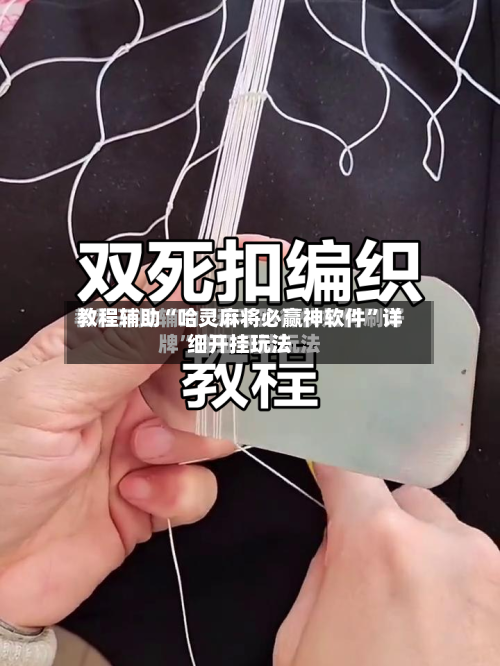 教程辅助“哈灵麻将必赢神软件	”详细开挂玩法-第3张图片