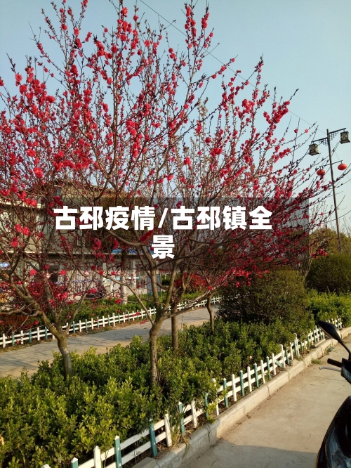 古邳疫情/古邳镇全景-第2张图片