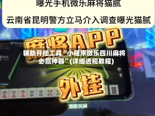 辅助开挂工具“小程序微乐四川麻将必赢神器	”(详细透视教程)-第3张图片